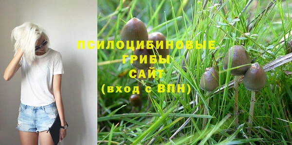 ECSTASY Абинск