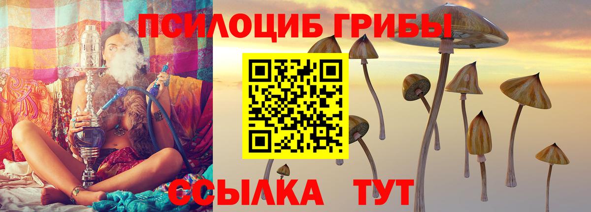 Псилоцибиновые грибы Magic Shrooms Троицк