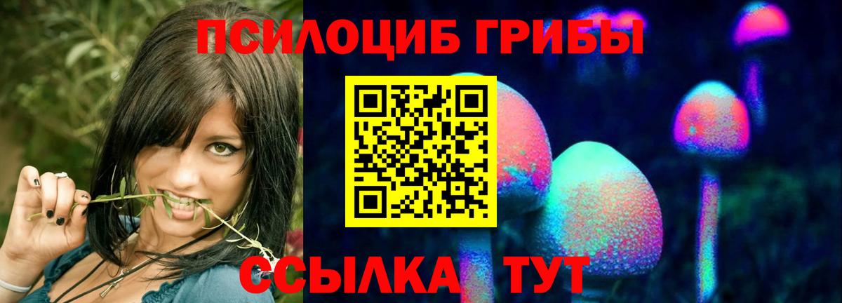Троицк  где продают наркотики  Вход с VPN  Псилоцибиновые грибы Magic Shrooms 